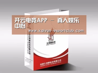 项目名称十三