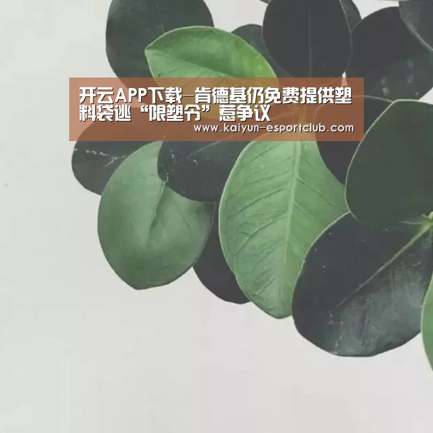 开云APP下载-肯德基仍免费提供塑料袋逃“限塑令”惹争议(图2) 开云APP下载