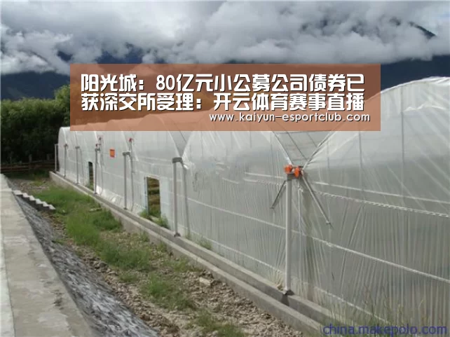 阳光城:80亿元小公募公司债券已获深交所受理:开云体育赛事直播(图4) 开云体育赛事直播