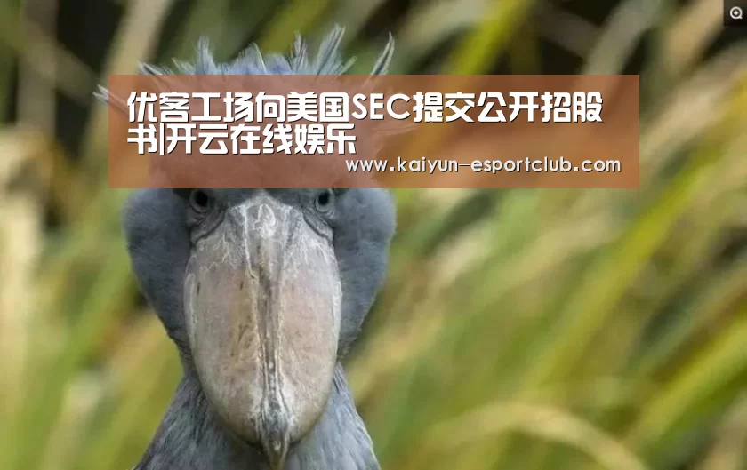 优客工场向美国SEC提交公开招股书|开云在线娱乐(图1) 开云体育赛事直播