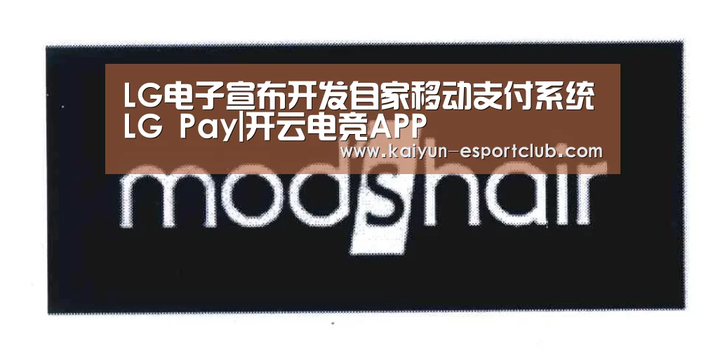 LG电子宣布开发自家移动支付系统LG Pay|开云电竞APP(图2) 开云在线娱乐