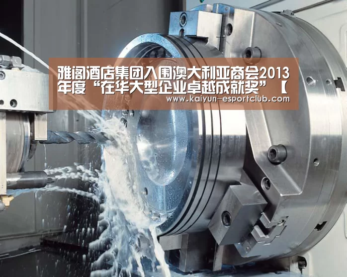 雅阁酒店集团入围澳大利亚商会2013年度“在华大型企业卓越成就奖”【开云电竞APP】(图1) 开云电竞APP