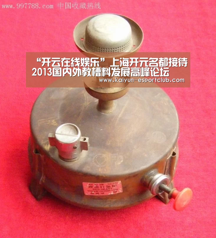“开云在线娱乐”上海开元名都接待2013国内外教槽料发展高峰论坛(图2) 开云在线娱乐